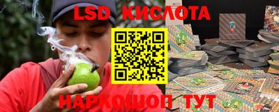 шишки Свободный