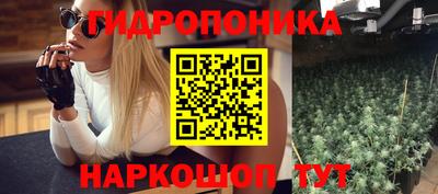 шишки Свободный
