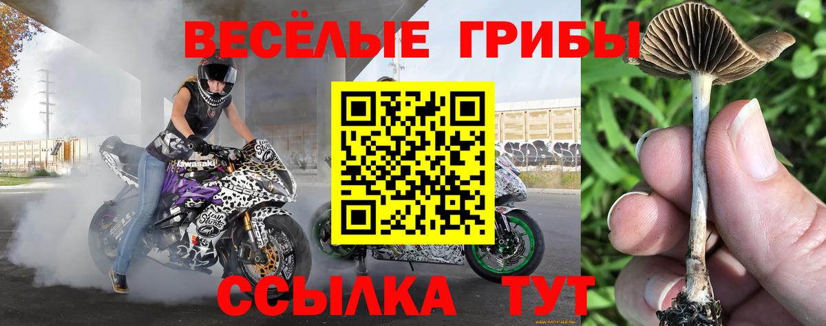 Галлюциногенные грибы мухоморы  Галлюциногенные грибы MAGIC MUSHROOMS  Вход с VPN  Нерюнгри 
